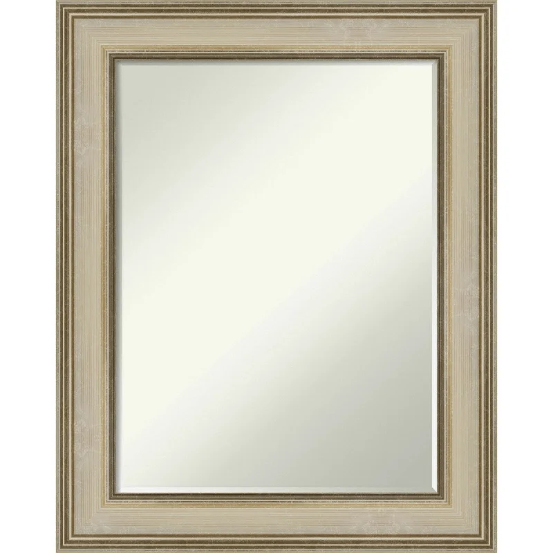 Petite Bevel Bathroom Wall Mirror - Colonial Light Gold Frame - Colonial Light Gold - 24 x 30 in