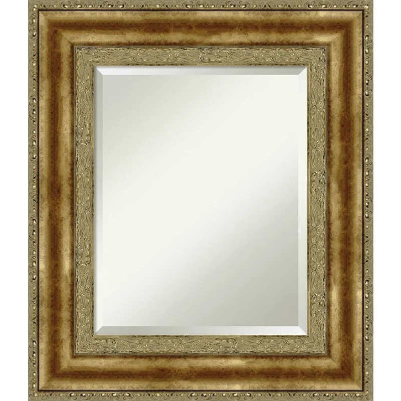 Wall Mirror Medium, Vienna Bronze 25 x 29-inch - 28.75 x 24.75 x 1.142 inches deep